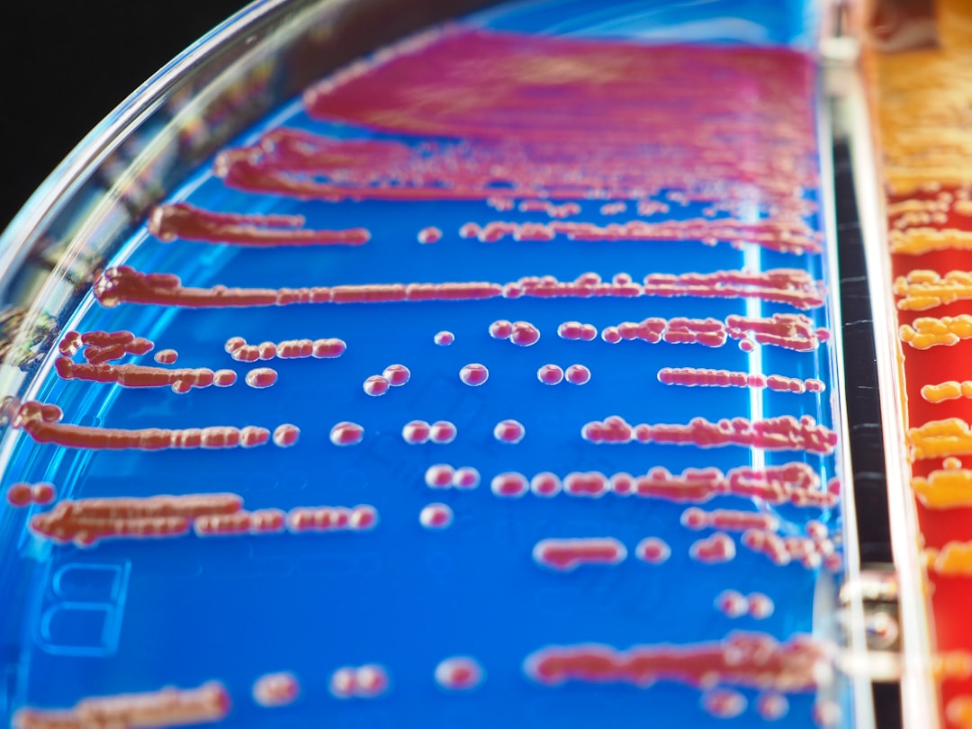 The Cheyenne Water System Bacteria Crisis and What It Means for Filmmakers Scouting the American West